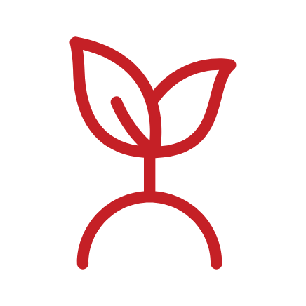 Creando Valor Juntos